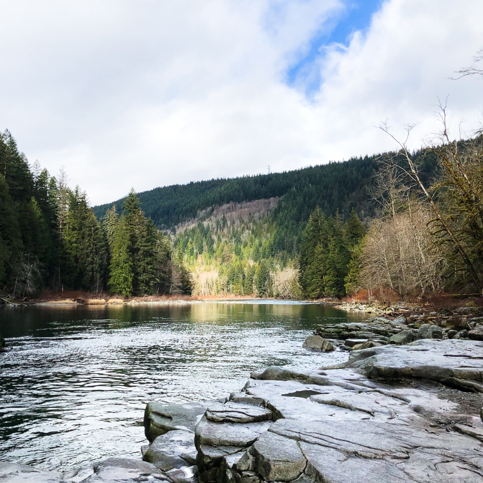 Seasonal Affective Disorder - Skykomish River in the winter, cloudy day